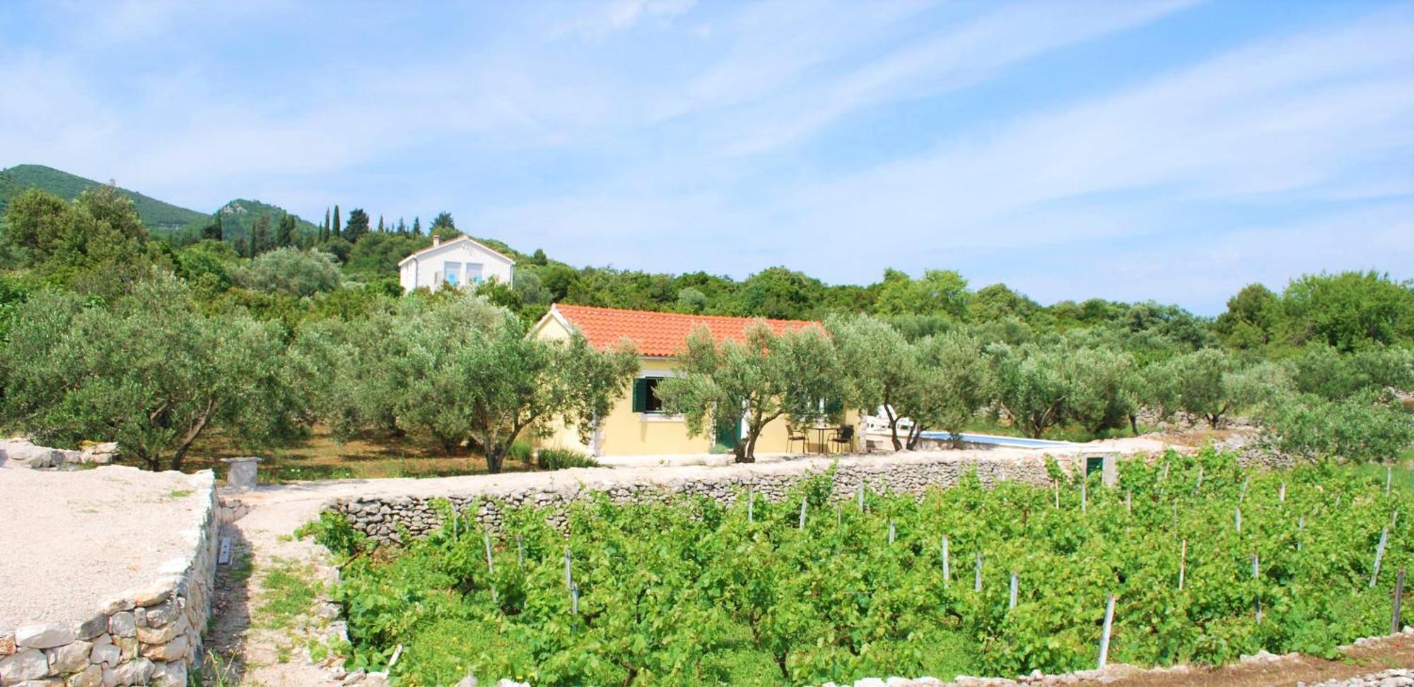 Vineyard House & Olive Grove House Villa Račišće Exterior foto