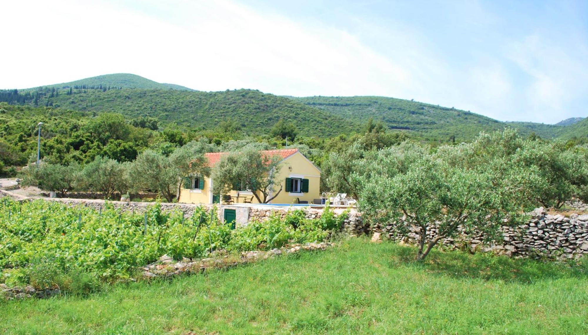 Vineyard House & Olive Grove House Villa Račišće Exterior foto
