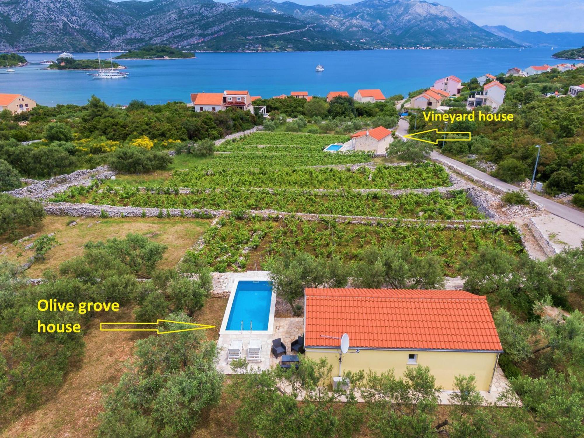 Vineyard House & Olive Grove House Villa Račišće Exterior foto