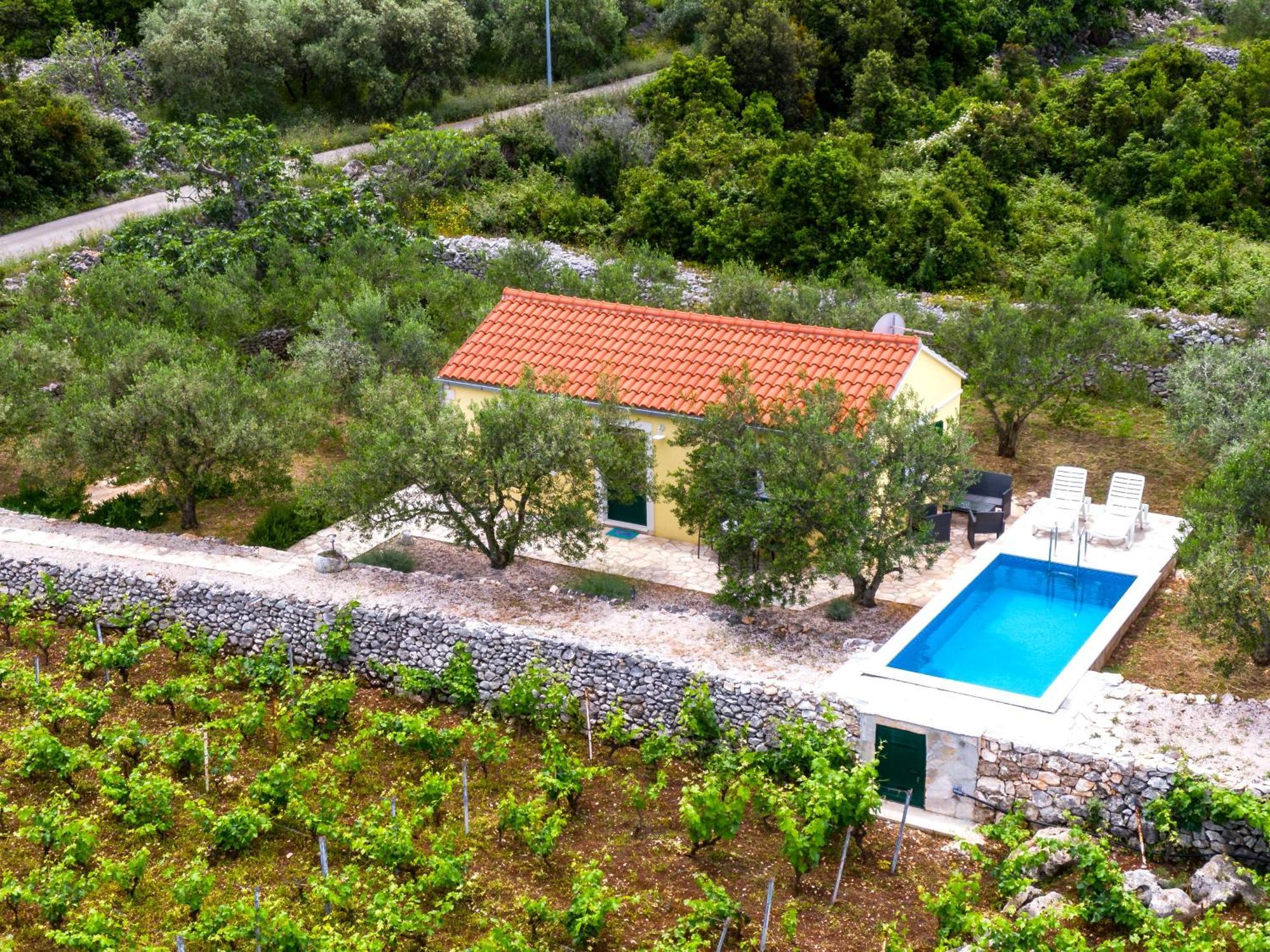 Vineyard House & Olive Grove House Villa Račišće Exterior foto