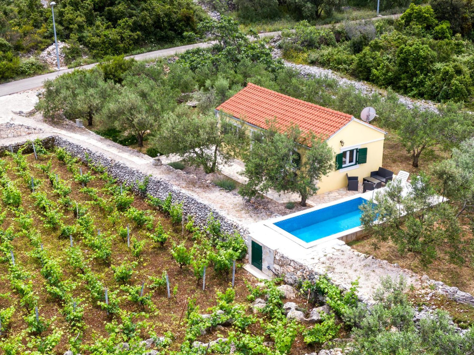 Vineyard House & Olive Grove House Villa Račišće Exterior foto