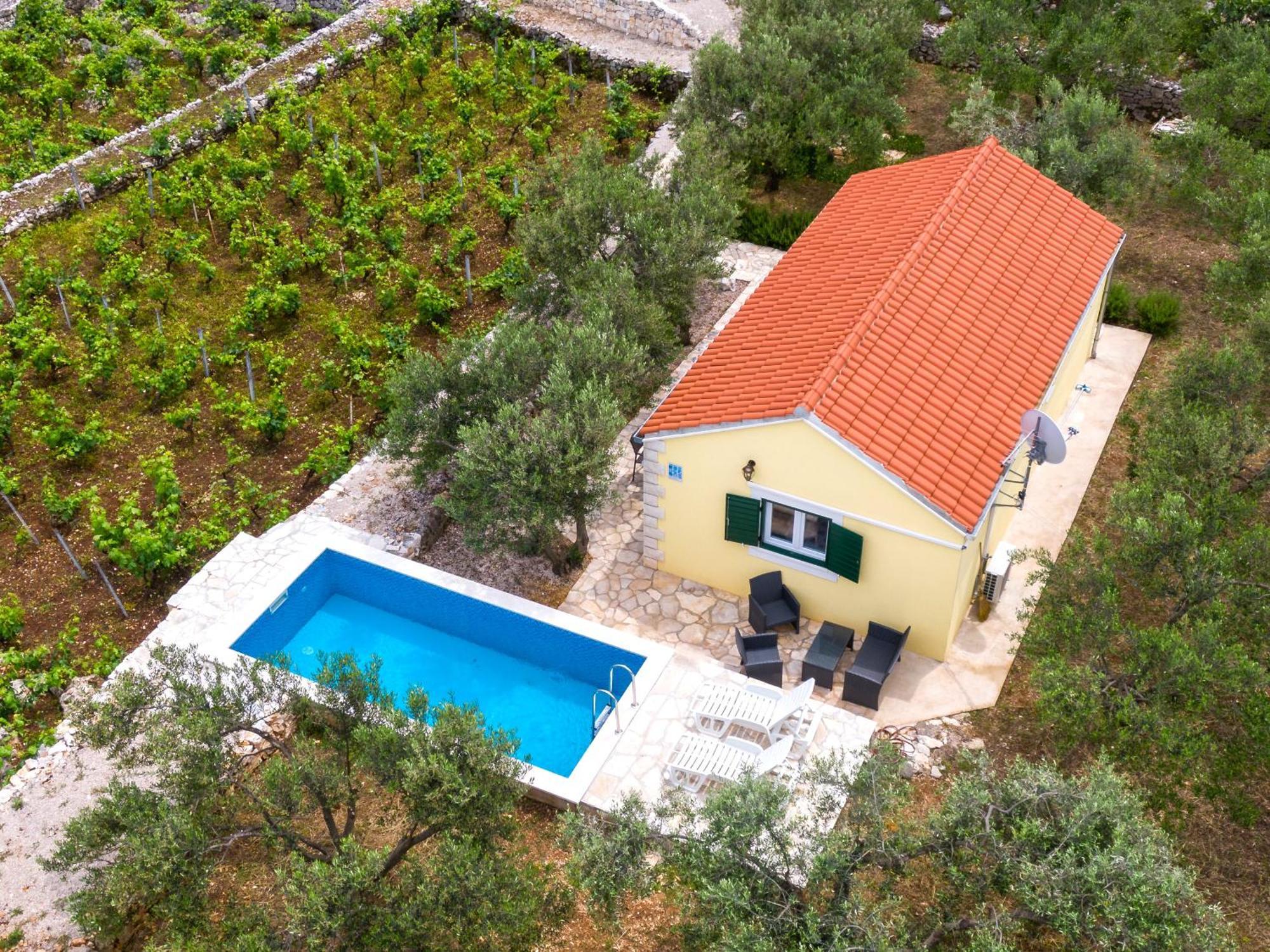 Vineyard House & Olive Grove House Villa Račišće Exterior foto
