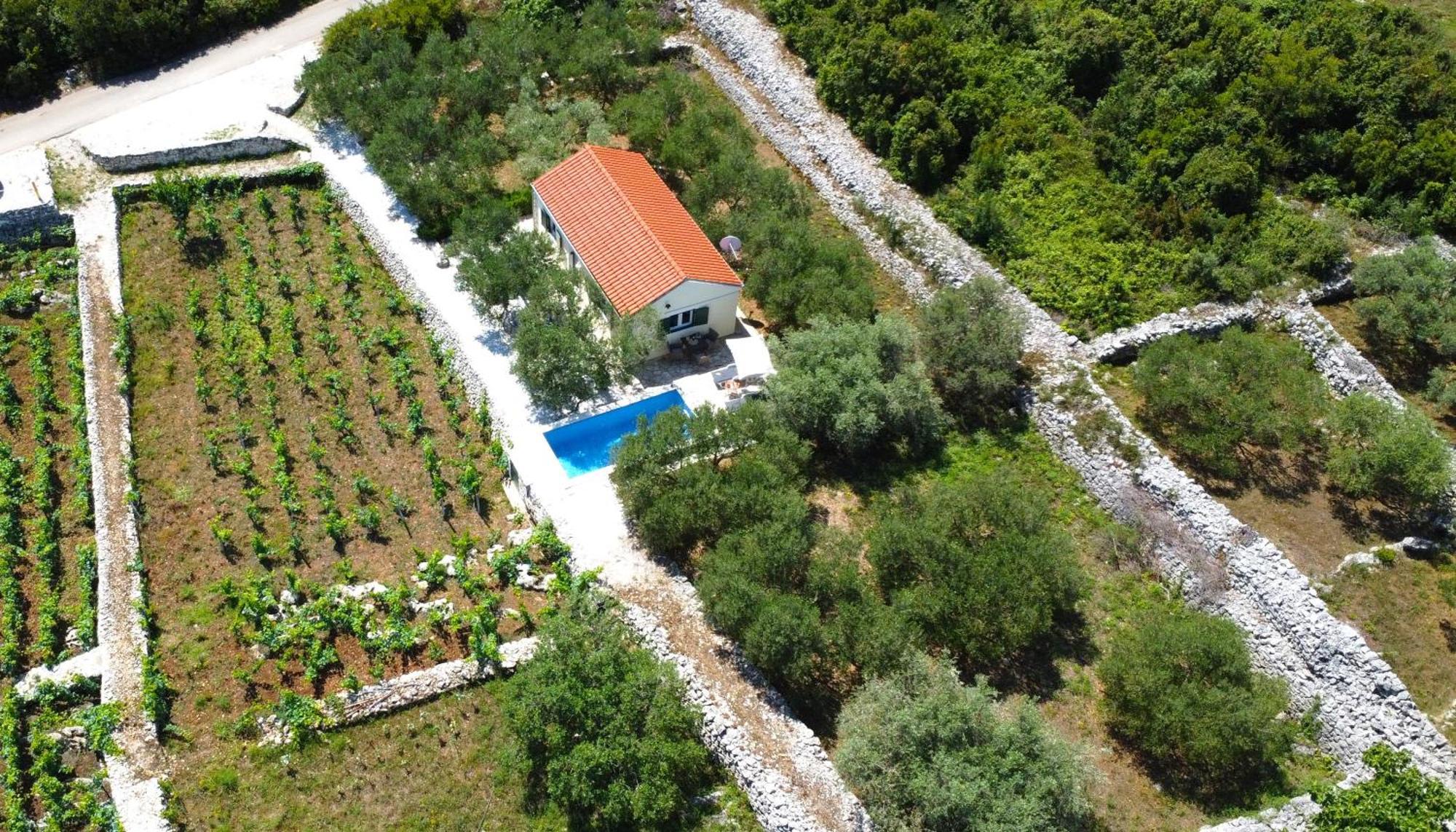 Vineyard House & Olive Grove House Villa Račišće Exterior foto