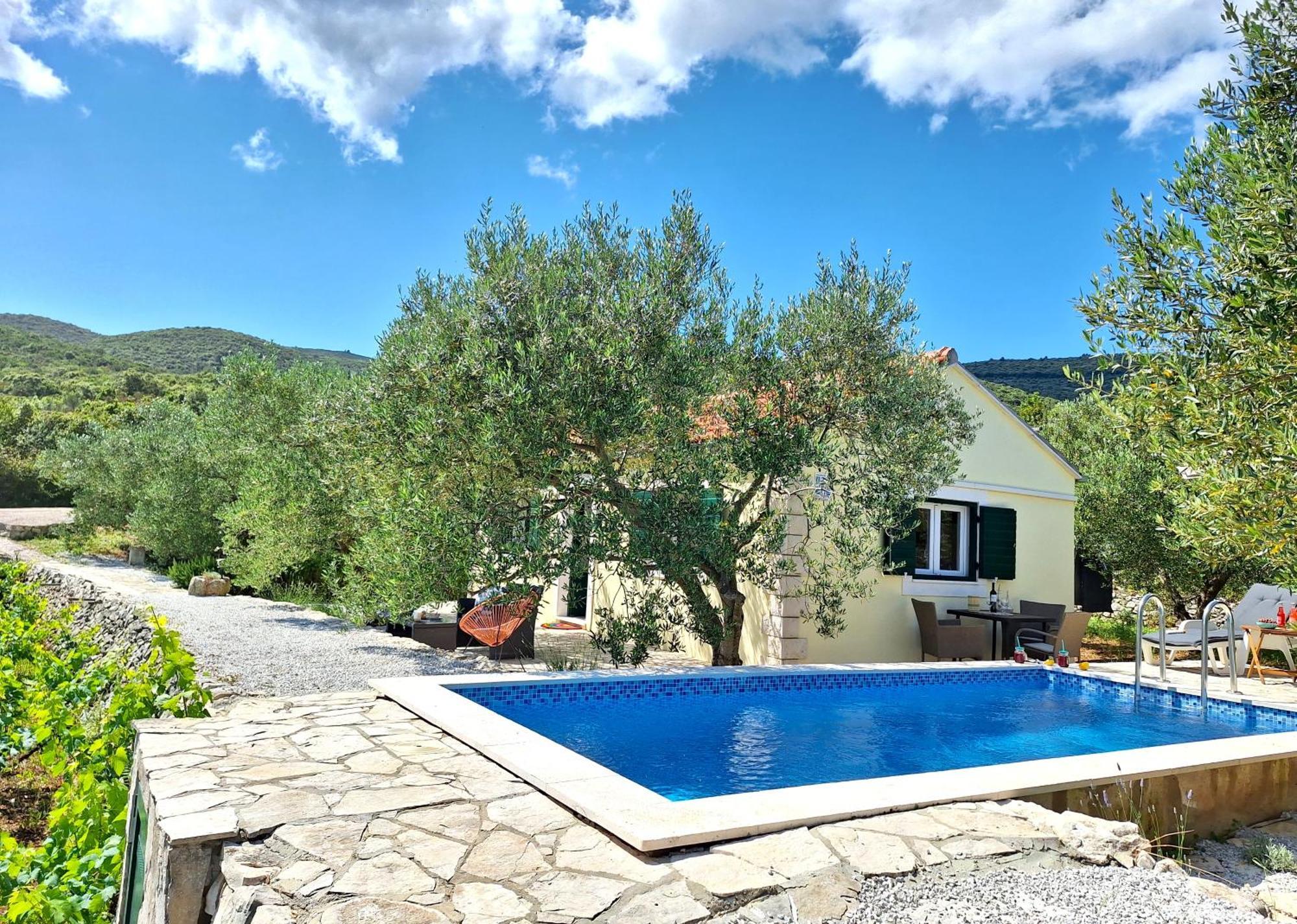 Vineyard House & Olive Grove House Villa Račišće Exterior foto