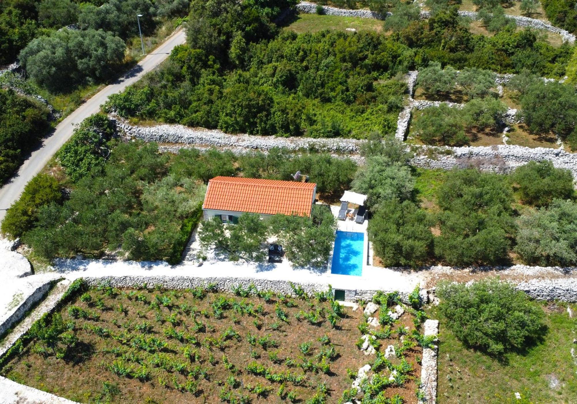 Vineyard House & Olive Grove House Villa Račišće Exterior foto