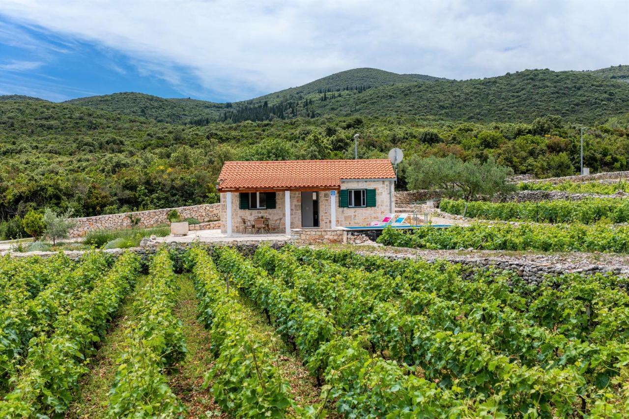 Vineyard House & Olive Grove House Villa Račišće Exterior foto