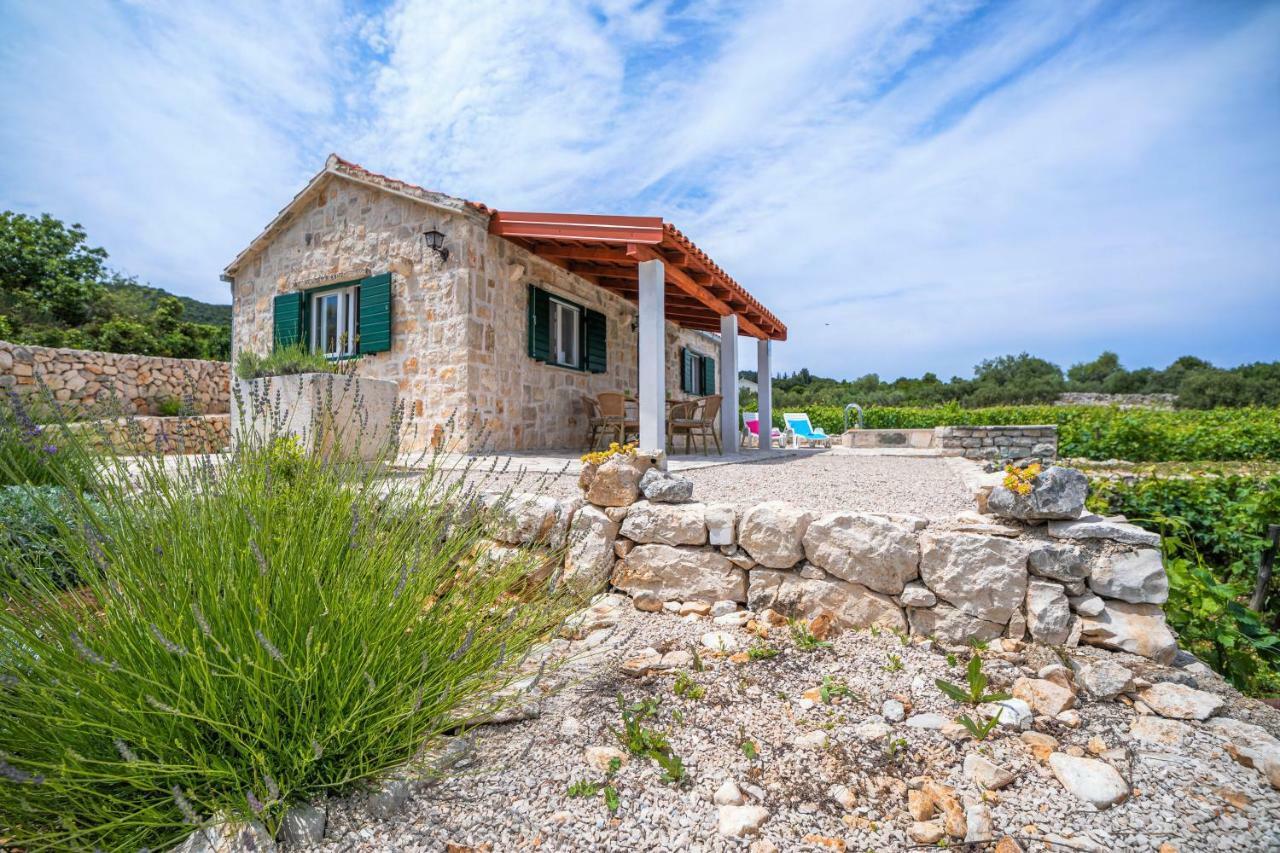 Vineyard House & Olive Grove House Villa Račišće Exterior foto