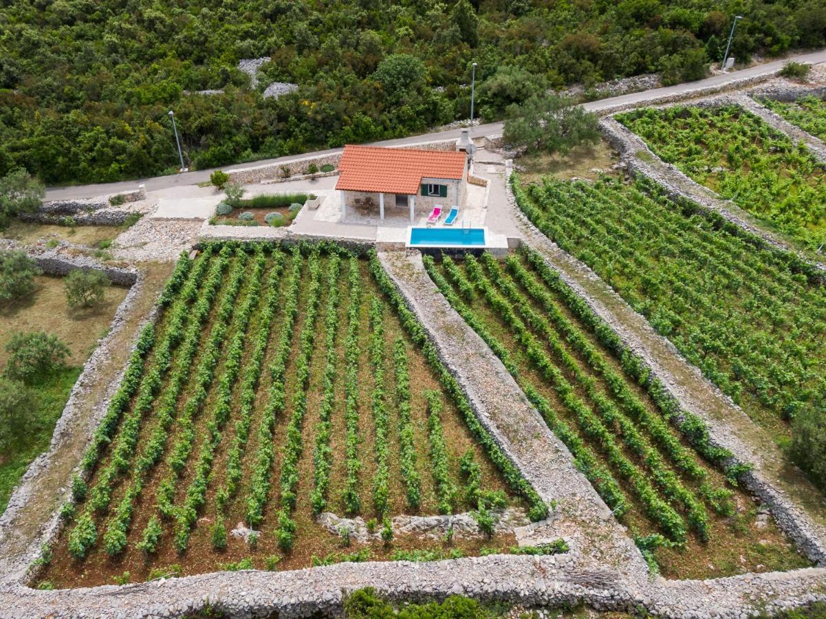 Vineyard House & Olive Grove House Villa Račišće Exterior foto