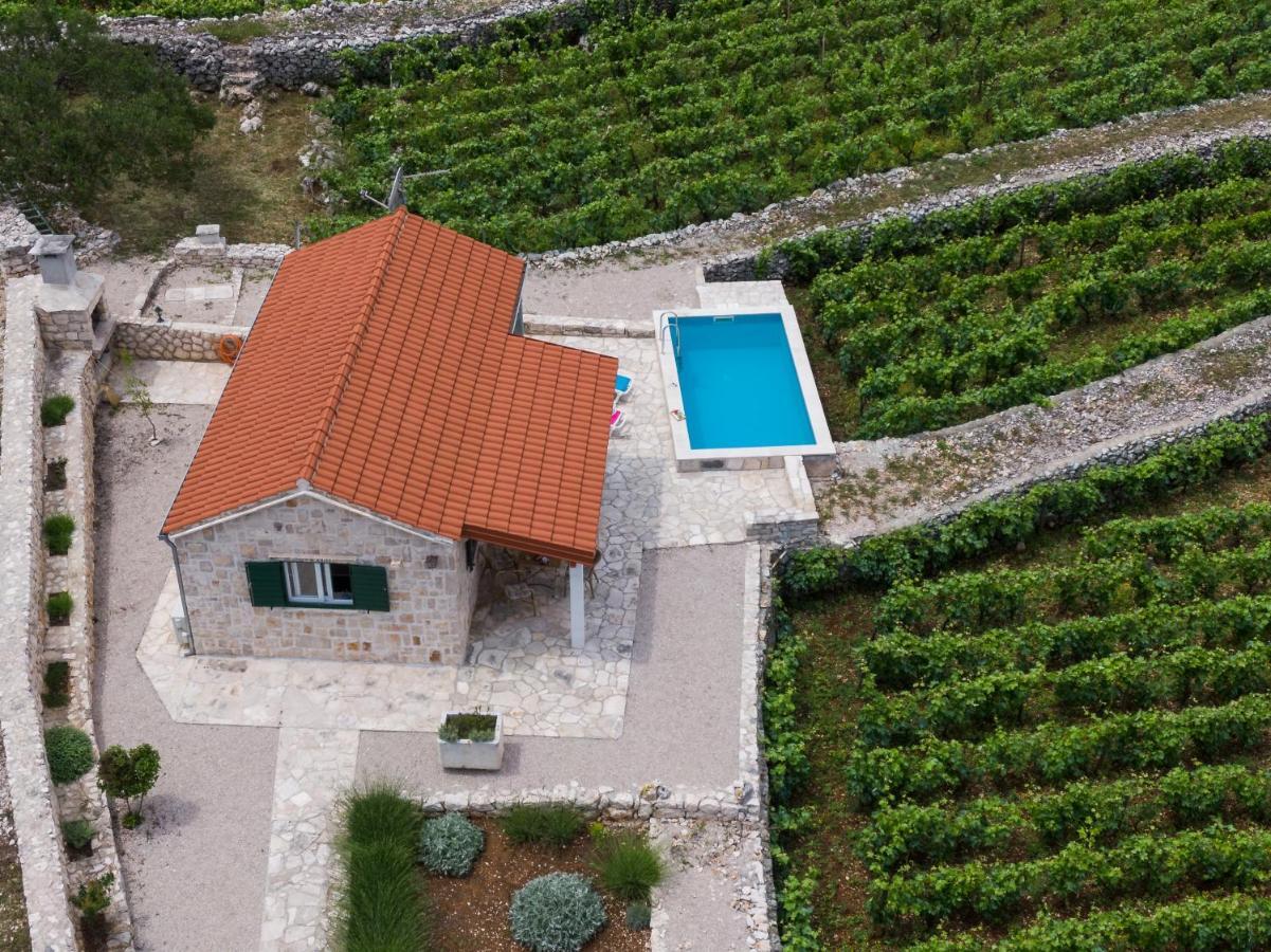 Vineyard House & Olive Grove House Villa Račišće Exterior foto