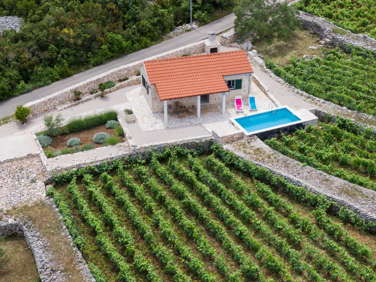 Vineyard House & Olive Grove House Villa Račišće Exterior foto