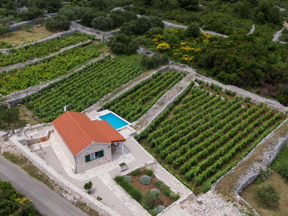 Vineyard House & Olive Grove House Villa Račišće Exterior foto